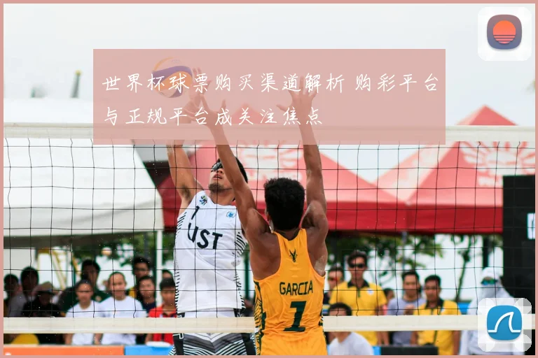 世界杯球票购买渠道解析 购彩平台与正规平台成关注焦点